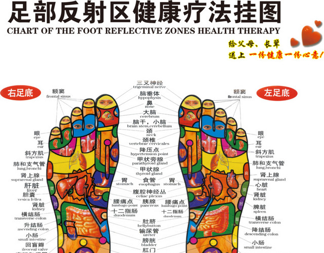 足部健康疗法挂图