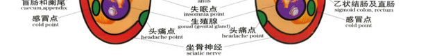 足部健康疗法挂图