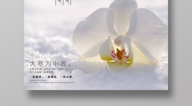 清新唯美风二十四节气大寒海报