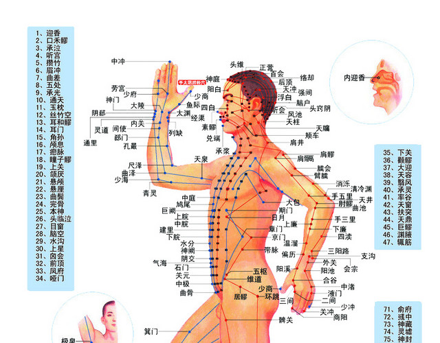 人体穴位图侧面
