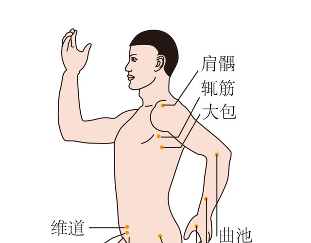 人体侧面结构图