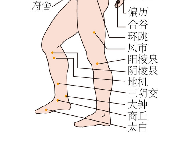 人体侧面结构图