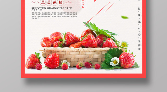 新鲜草莓采摘节水果生鲜宣传海报