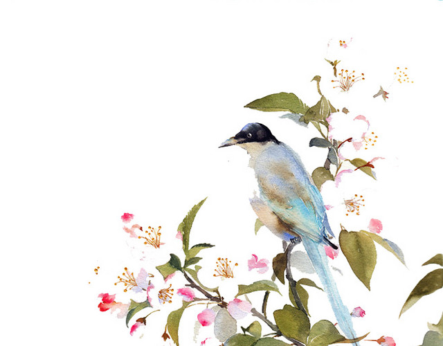 桃花树枝素材