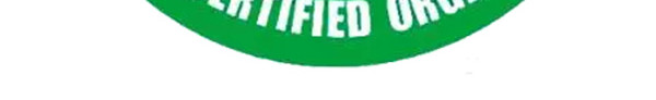 食品安全公益素材LOGO