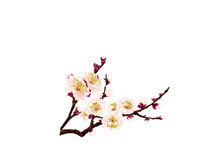 中国风水墨山水花卉素材