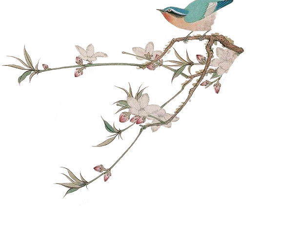 工笔国画花鸟图