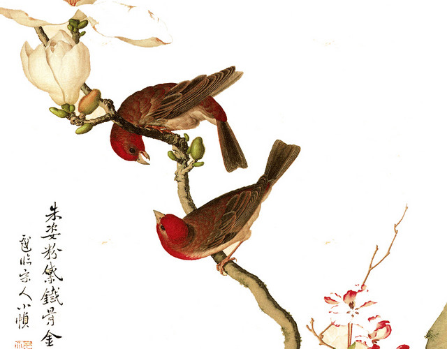 工笔国画花鸟图片