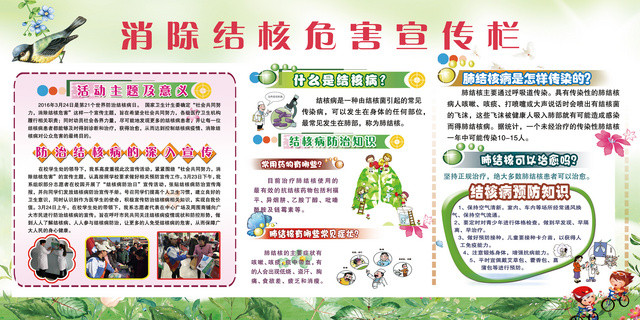 世界防治结核病日消除结核危害肺宣传展板