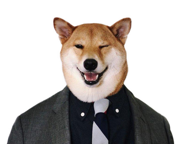 狗头西服西装