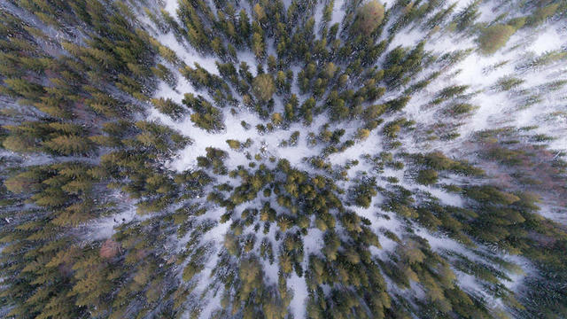 旅游印象主义雪中森林俯视宣传背景图片
