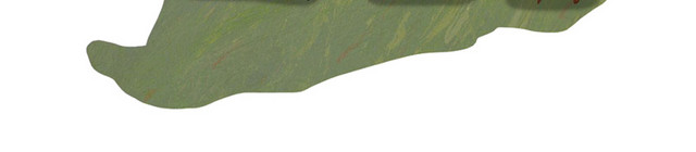 卡通教师节素材