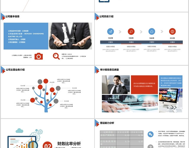 红蓝色财务报表分析报告PPT