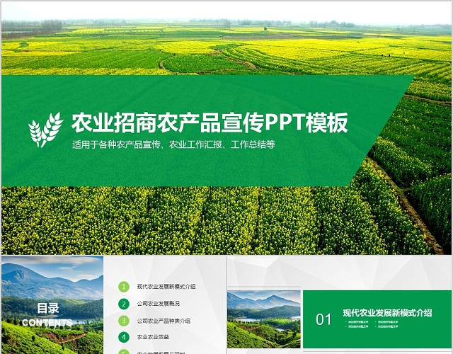 农业招商农产品宣传PPT模板
