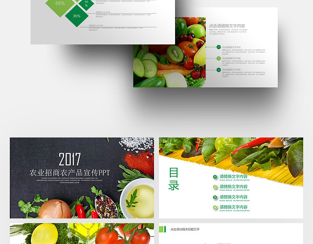健康农业招商农产品介绍宣传PPT模板
