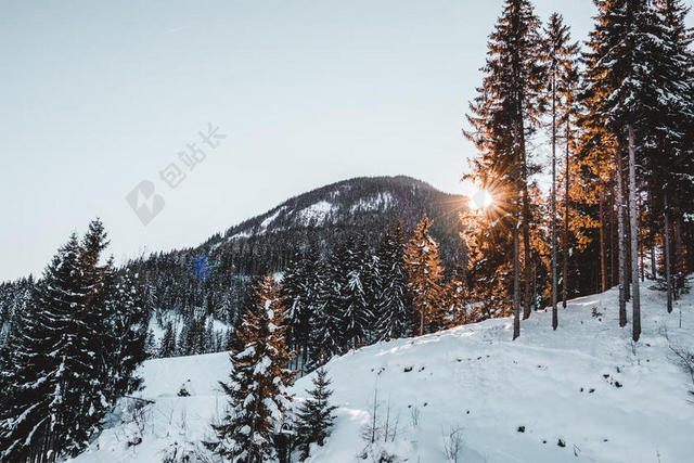 冒险 - 攀登 - 寒冷的 - 针叶树 - 日光 - 日落 - 风景 - 山 - 冬天 - 天空