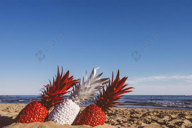 蓝色海边海景沙滩菠萝装饰背景图片