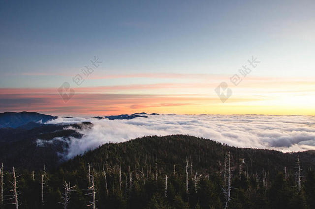 云森林地平线景观山日落风景背景图片