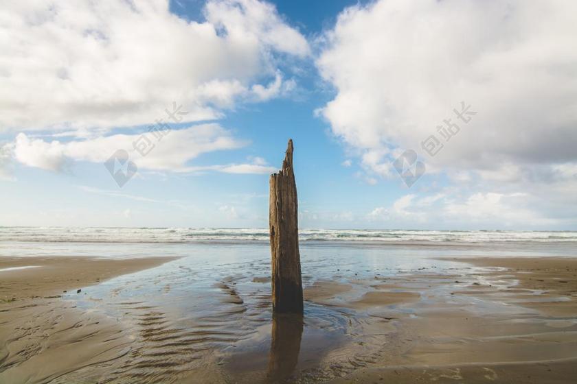 旅游自然岸边倒影的木桩背景图片