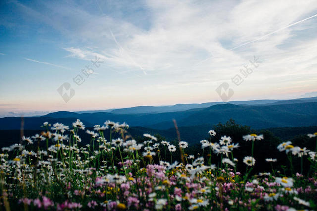 明亮的 - 云 - 乡村 - 领域 - 植物区系 - 风景 - 山 - 夏天 - 天空