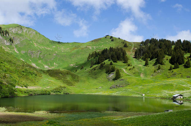 旅游自然户外针叶树湖泊背景图片