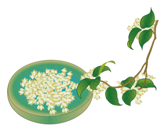 桂花
