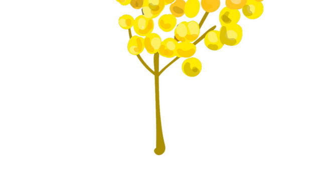 金桂树