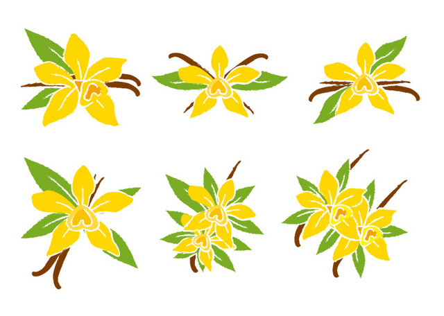 桂花