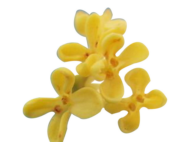 桂花