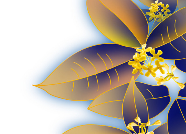 桂花