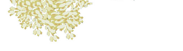 桂花