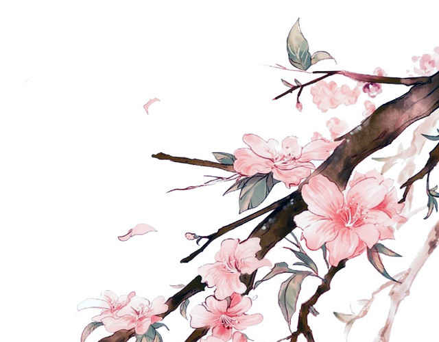盛开的桃花