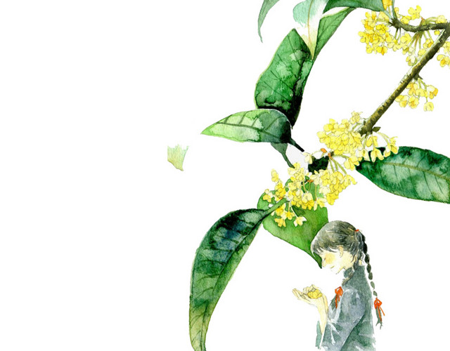 桂花
