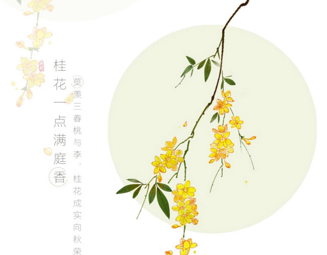 桂花