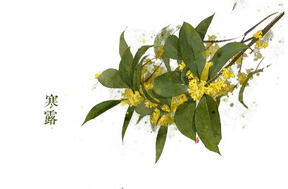 桂花