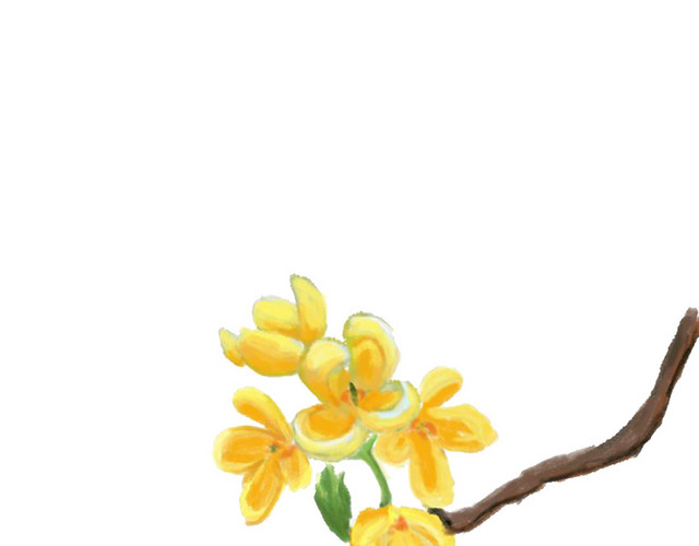 桂花
