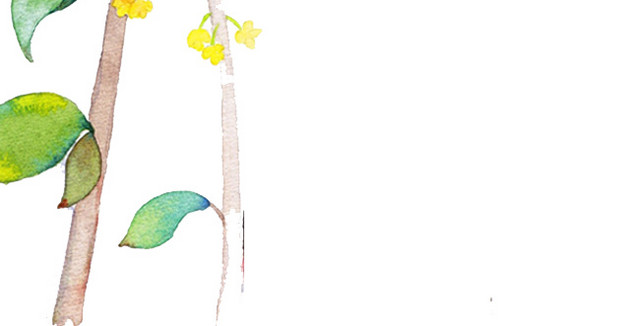 桂花