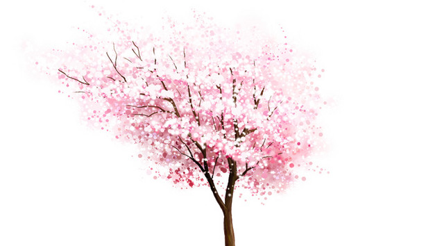 盛开的桃花