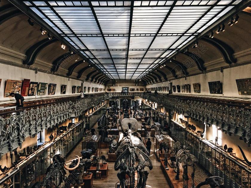 摄影时尚室内装饰摆放背景图片