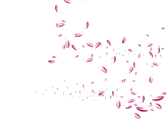 桃花随风飘