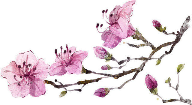 桃花