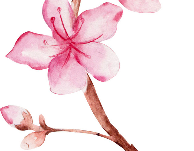 桃花