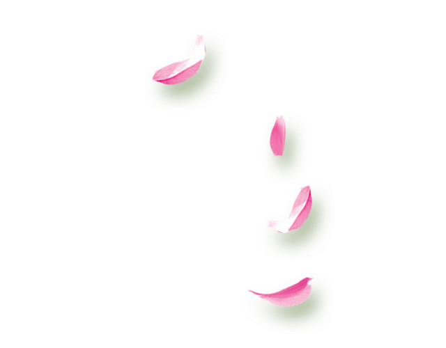 桃花花瓣