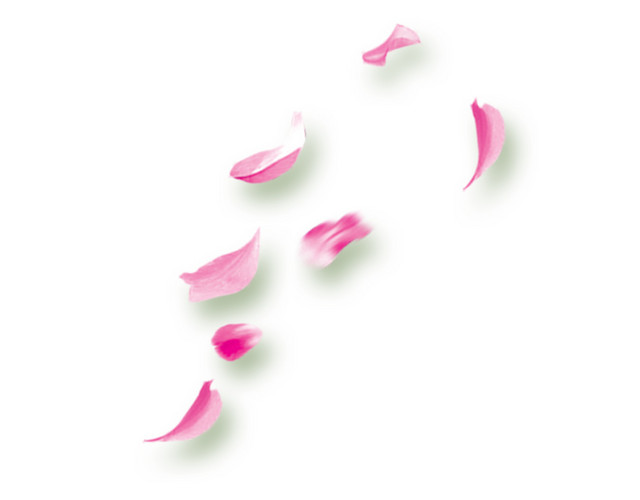 桃花花瓣