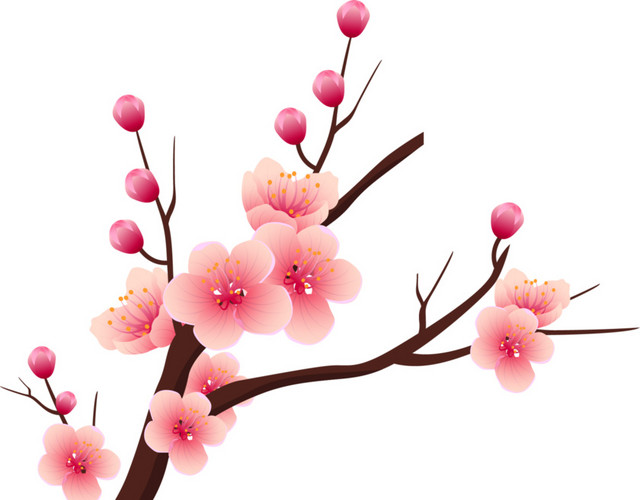 盛开的桃花