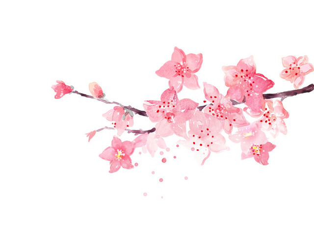 盛开的桃花