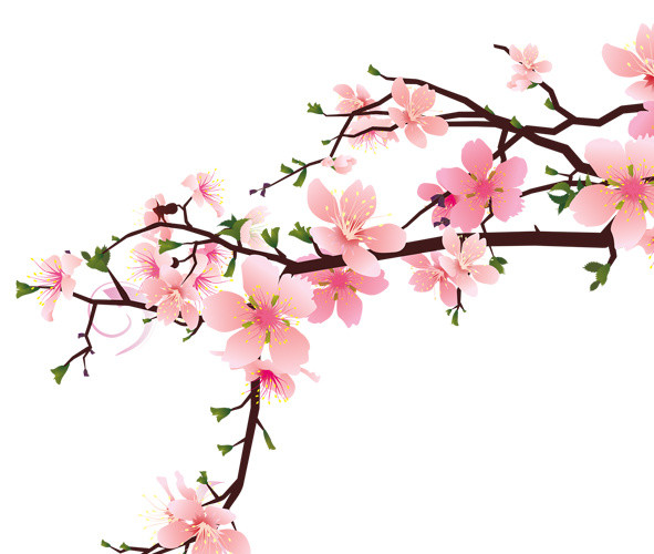 桃花