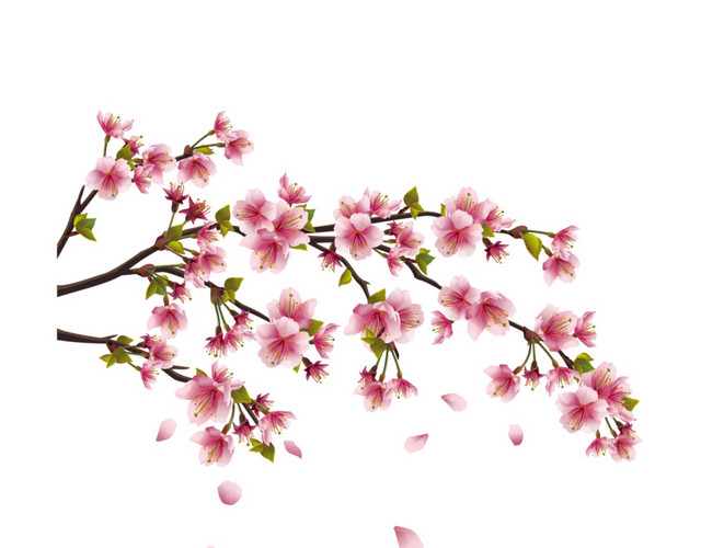 桃花