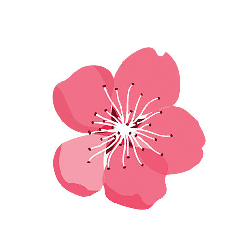 手绘桃花