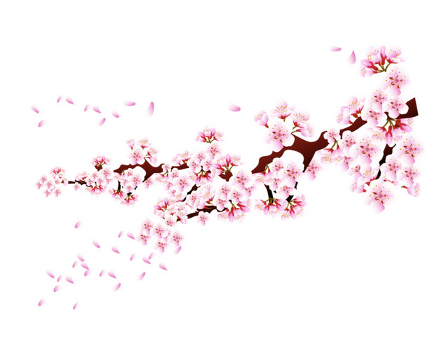 盛开的桃花
